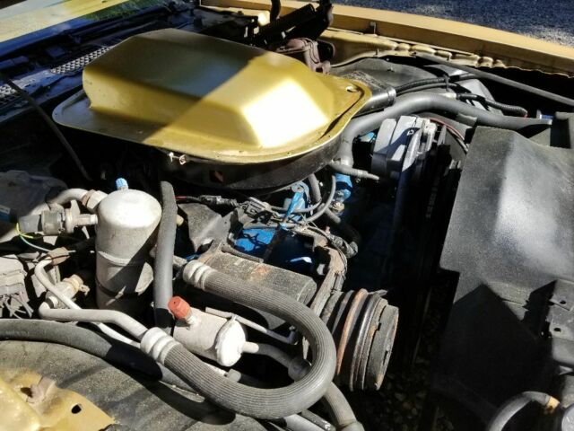 1980 Pontiac Trans Am - photo 12