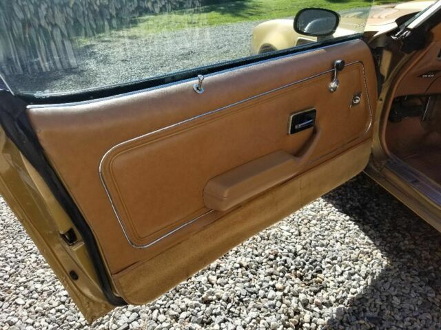 1980 Pontiac Trans Am - photo 3