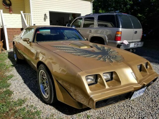 1980 Pontiac Trans Am - photo 6