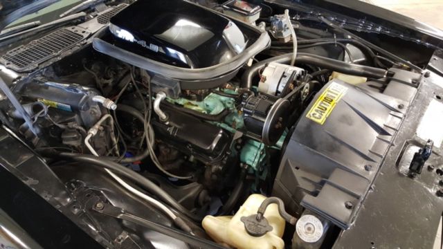1981 Pontiac Trans Am Trans Am - photo 11