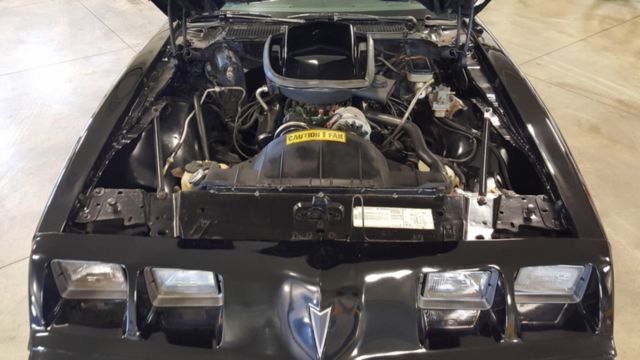 1981 Pontiac Trans Am Trans Am - photo 9