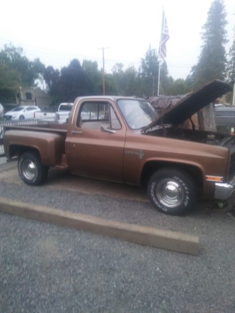 1981 Chevrolet C-10