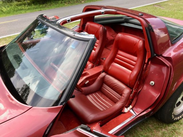 1981 Chevrolet Corvette Glass Roof Targa Coupe - photo 11