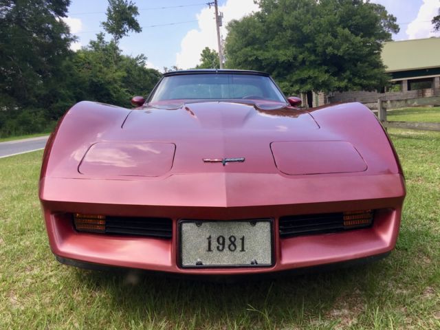 1981 Chevrolet Corvette Glass Roof Targa Coupe - photo 2