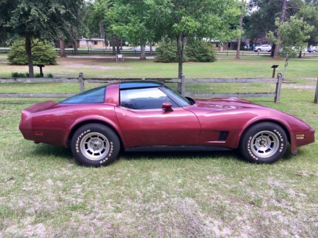 1981 Chevrolet Corvette Glass Roof Targa Coupe - photo 4
