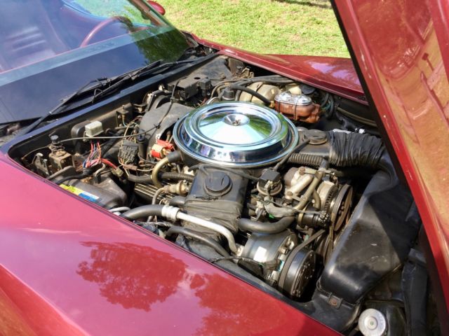 1981 Chevrolet Corvette Glass Roof Targa Coupe - photo 7