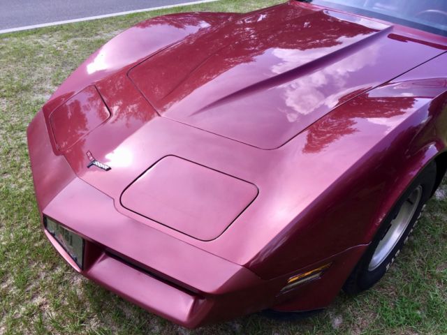 1981 Chevrolet Corvette Glass Roof Targa Coupe - photo 9