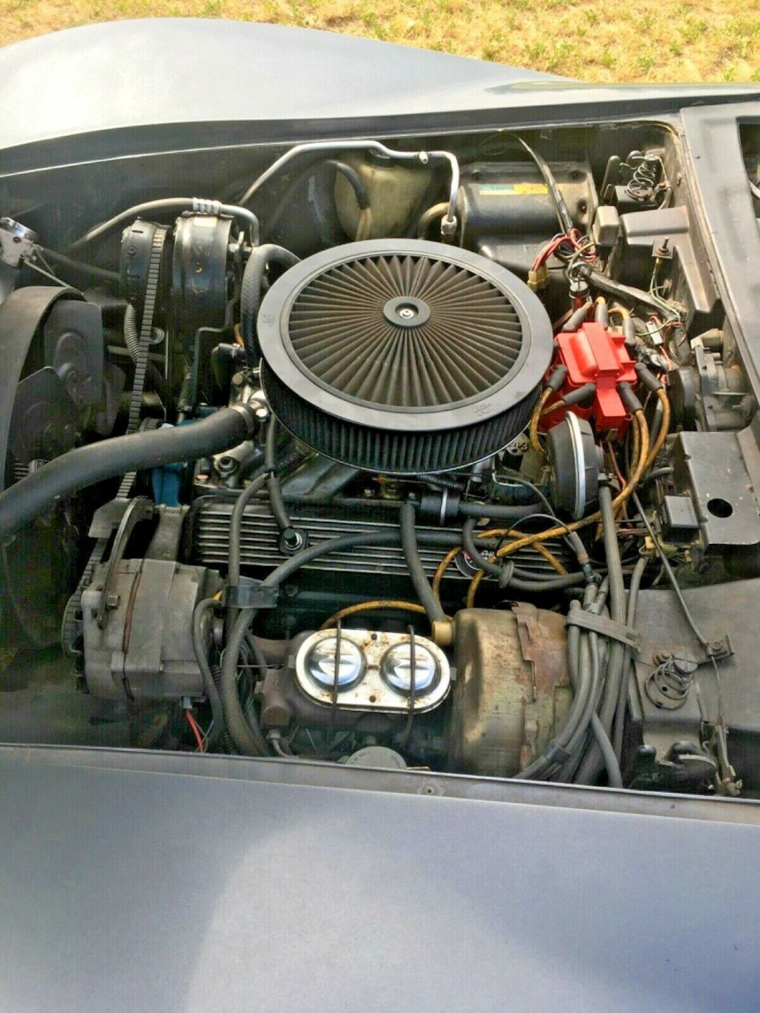 1981 Chevrolet Corvette - photo 11