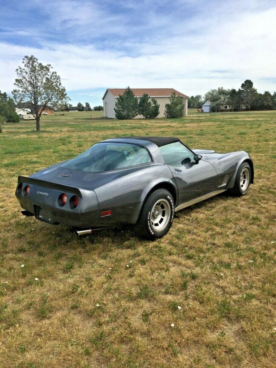 1981 Chevrolet Corvette - photo 2