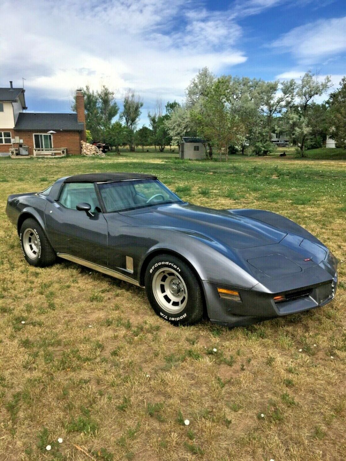 1981 Chevrolet Corvette - photo 4