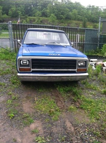 1981 Dodge Other Pickups - photo 5