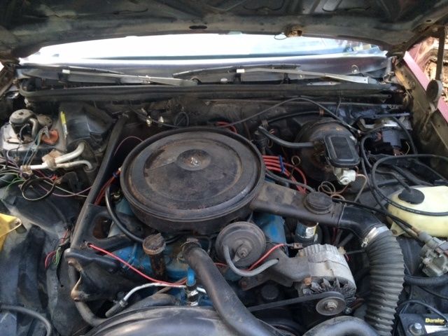1981 Oldsmobile Cutlass - photo 7