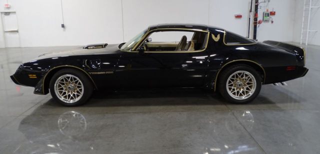 1981 Pontiac Trans Am - photo 2