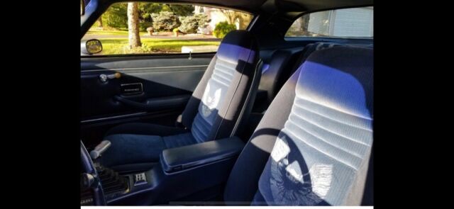 1981 Pontiac Trans Am Trans AM Firebird - photo 10