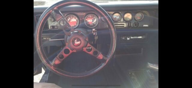 1981 Pontiac Trans Am Trans AM Firebird - photo 11