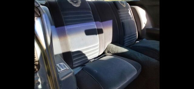 1981 Pontiac Trans Am Trans AM Firebird - photo 12