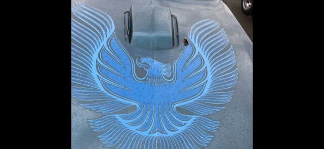 1981 Pontiac Trans Am Trans AM Firebird - photo 8