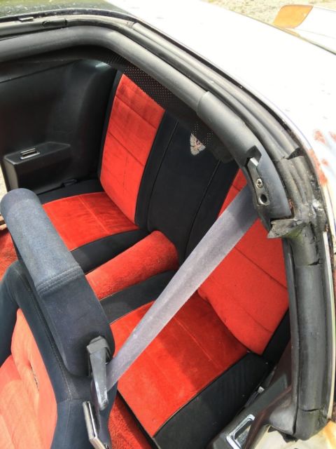 1981 Pontiac Trans Am