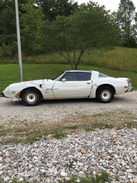 1981 Pontiac Trans Am - photo 10