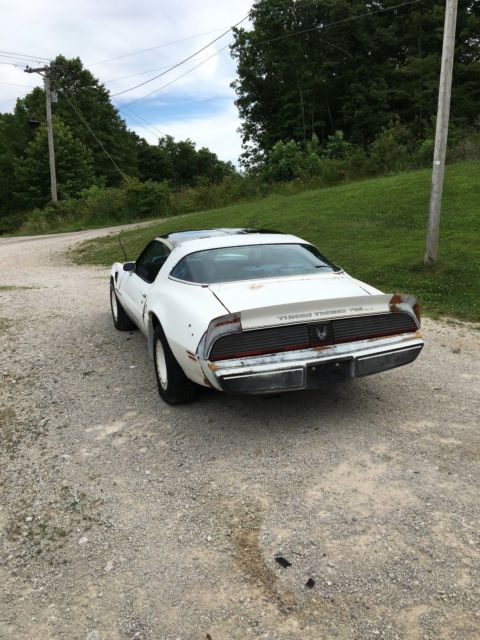 1981 Pontiac Trans Am - photo 12