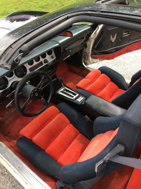 1981 Pontiac Trans Am - photo 2