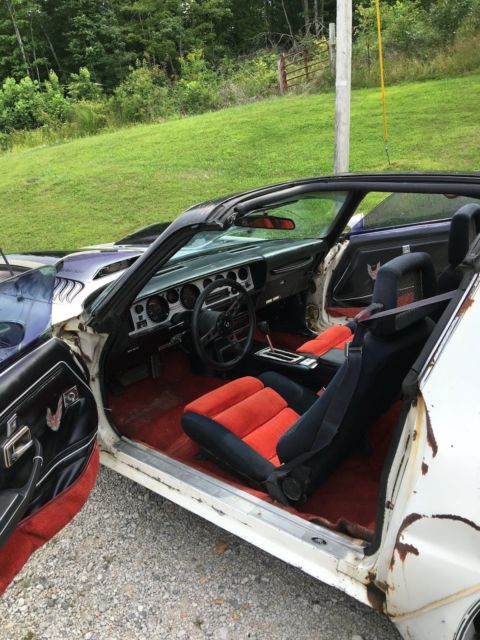 1981 Pontiac Trans Am - photo 3