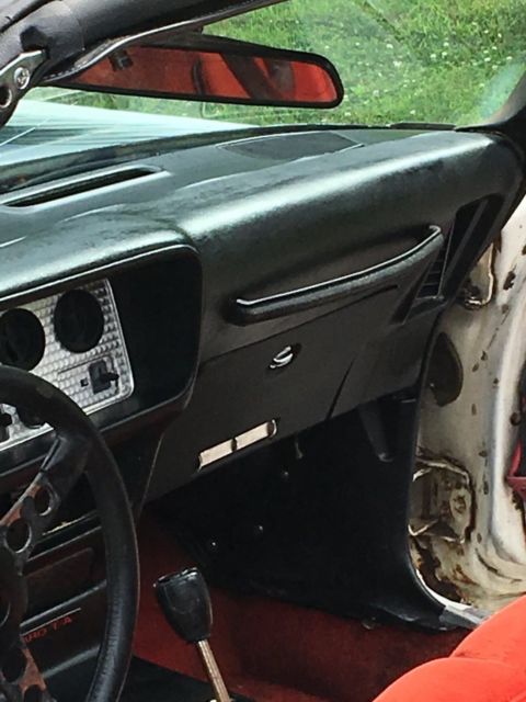 1981 Pontiac Trans Am - photo 5