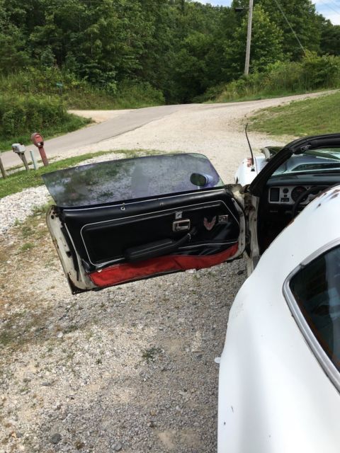 1981 Pontiac Trans Am - photo 6