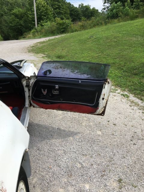1981 Pontiac Trans Am - photo 7