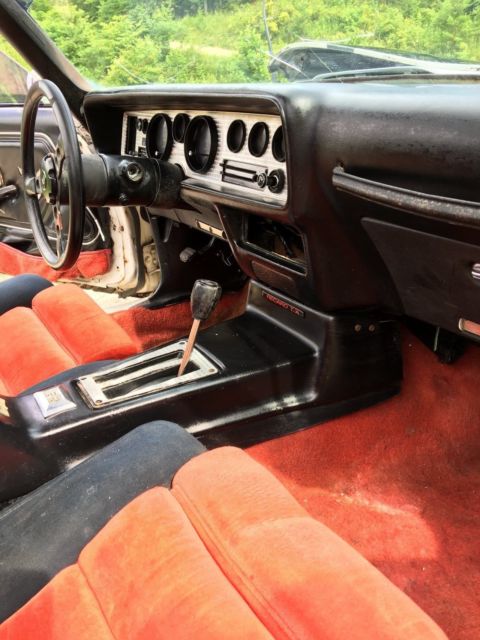 1981 Pontiac Trans Am - photo 8