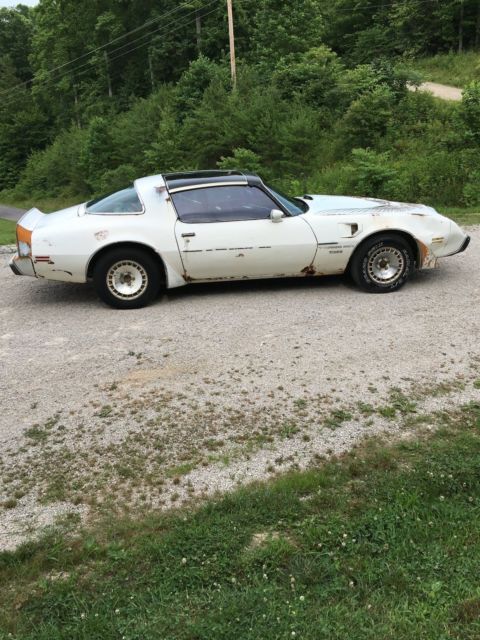 1981 Pontiac Trans Am - photo 9