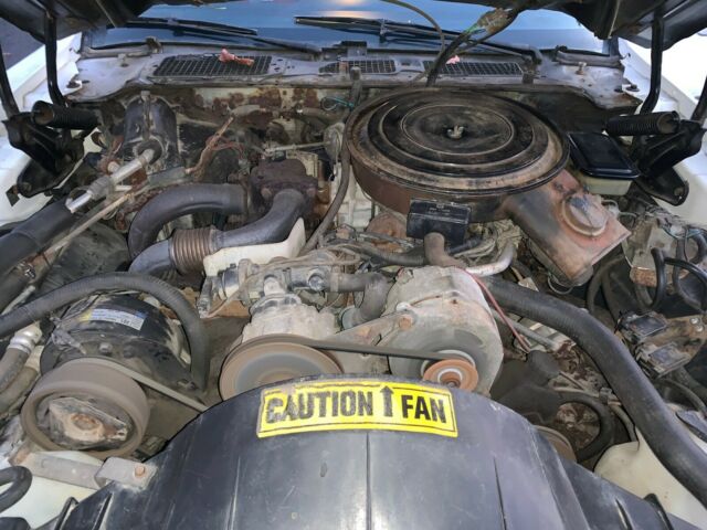 1981 Pontiac Trans Am NASCAR Trans Am - photo 13
