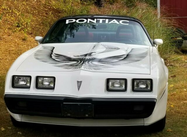 1981 Pontiac Trans Am NASCAR Trans Am - photo 2