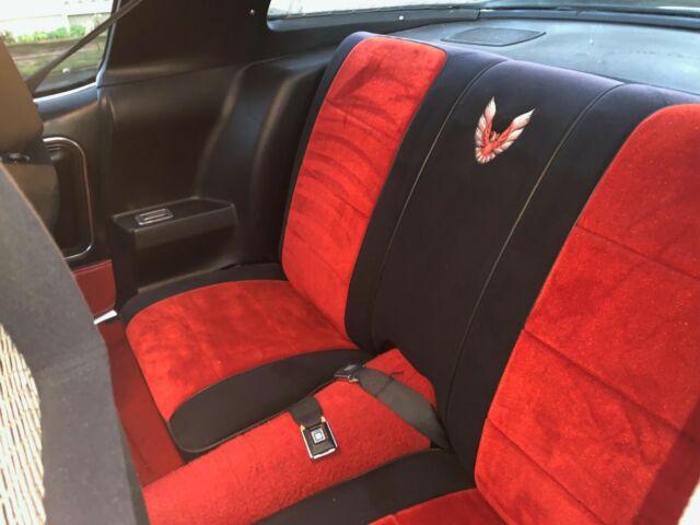 1981 Pontiac Trans Am NASCAR Trans Am - photo 7