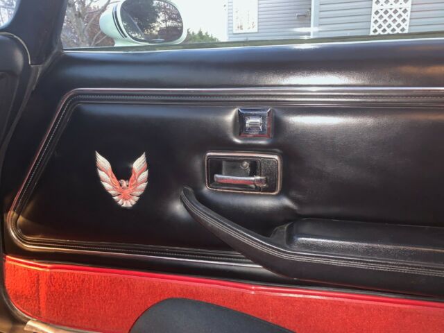1981 Pontiac Trans Am NASCAR Trans Am - photo 9