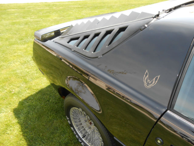 1982 Pontiac Trans Am - photo 5