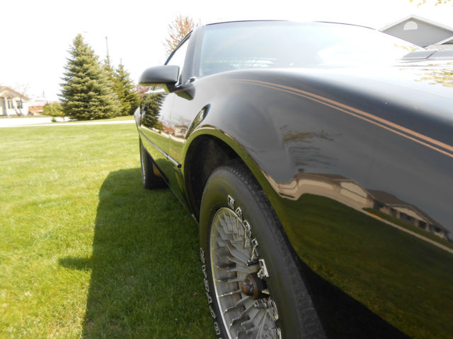 1982 Pontiac Trans Am - photo 8