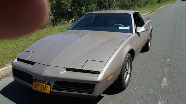 1983 Pontiac Firebird S/E - photo 10