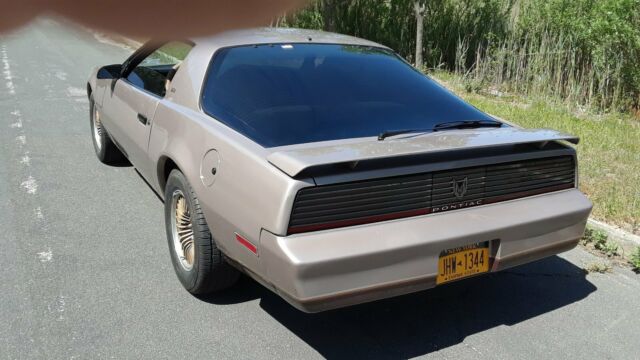 1983 Pontiac Firebird S/E - photo 2