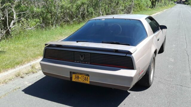 1983 Pontiac Firebird S/E - photo 3