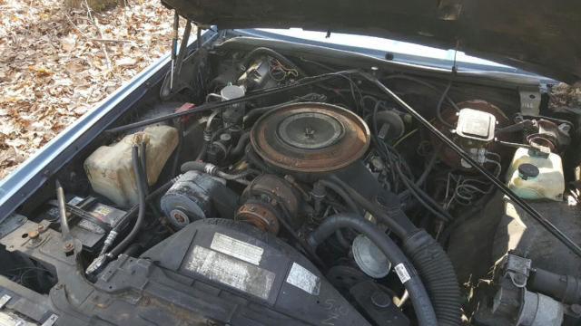 1984 Cadillac Eldorado - photo 3