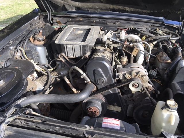 1984 Ford Mustang svo - photo 6