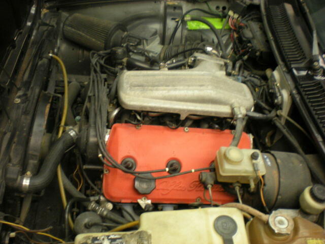 1984 Alfa Romeo Other Black Leather - photo 6