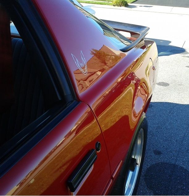 1985 Pontiac Trans Am - photo 4