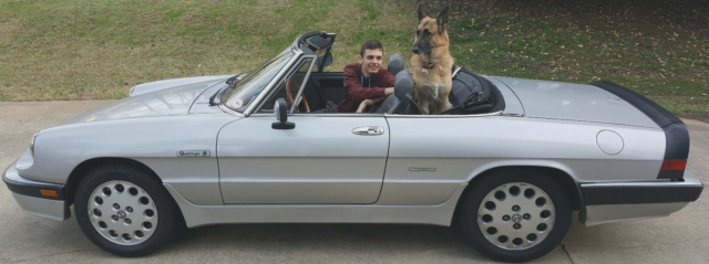 1986 Alfa Romeo Spider - photo 9