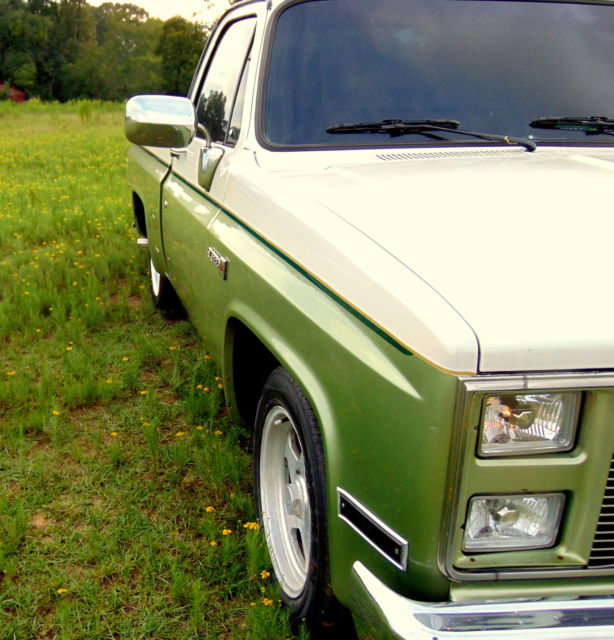 1986 Chevrolet C-10 SILVERADO SIERRA C10 K15 K20 1500 C/K 1500 6.0 LS - photo 6