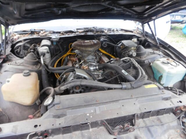 1986 Pontiac Firebird - photo 13