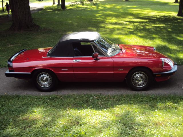1987 Alfa Romeo Spider - photo 4