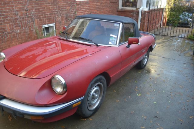 1987 Alfa Romeo Spider Graduate - photo 2
