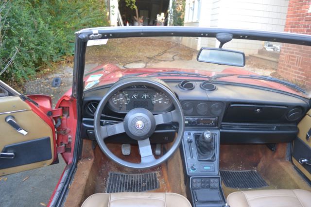 1987 Alfa Romeo Spider Graduate - photo 7